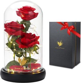 Valentines Day Gifts for Her,Valentines Decor Beauty and The Beast Rose Flowers with 40 LED Lights Rose in Glass Dome (Color: Classic Rose Red)